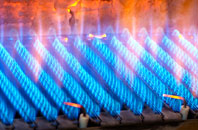 Wallington gas fired boilers